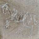 Wire Horse